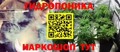 крисы Пугачёв